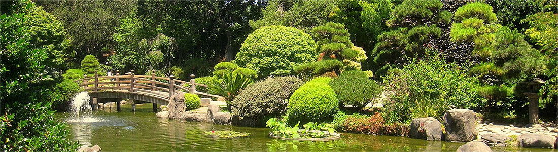 Japanese Tea Garden